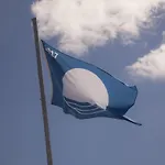 Nautilus